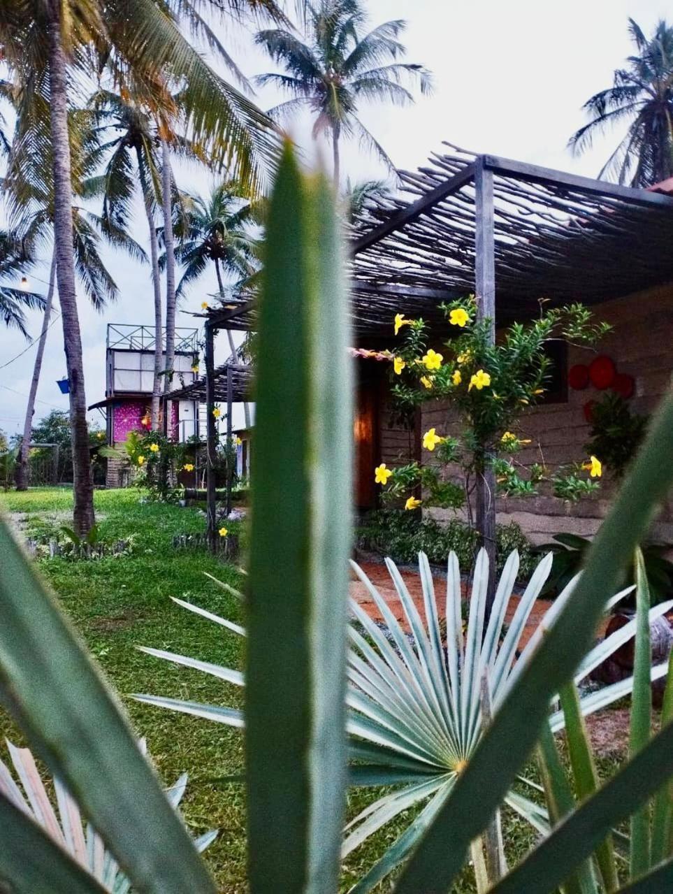 Mare De Atins Eco Lodge Екстериор снимка
